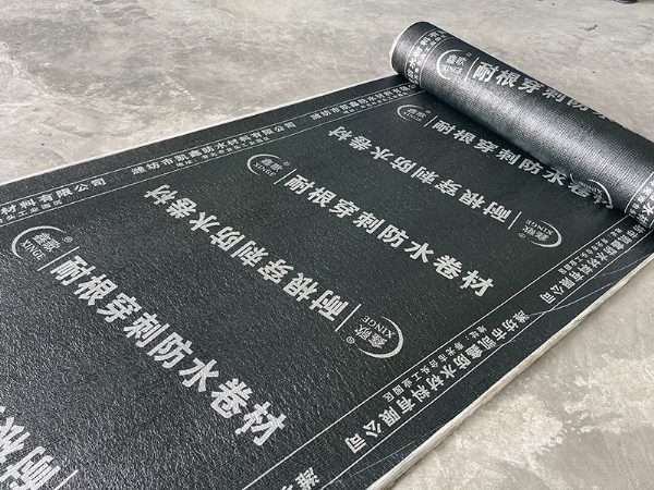 微信图片_20210609173245